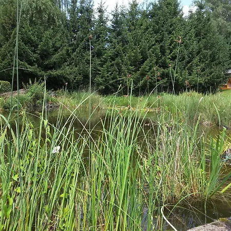 Froschkoenig Mit Teichblick Lejlighed Trendelburg Eksteriør billede