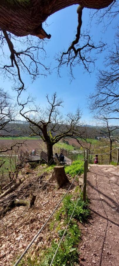 Froschkoenig Mit Teichblick * Trendelburg