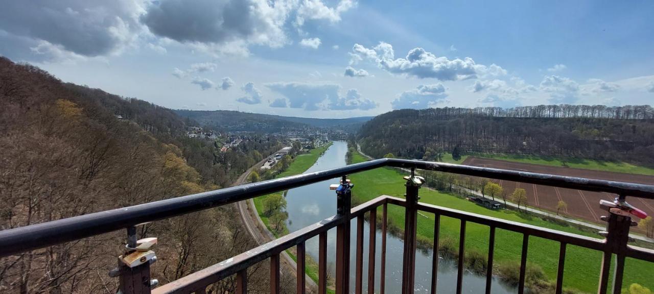Froschkönig Mit Teichblick