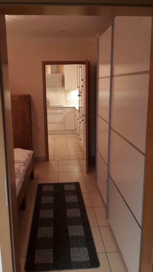 Froschkönig Mit Teichblick Apartment