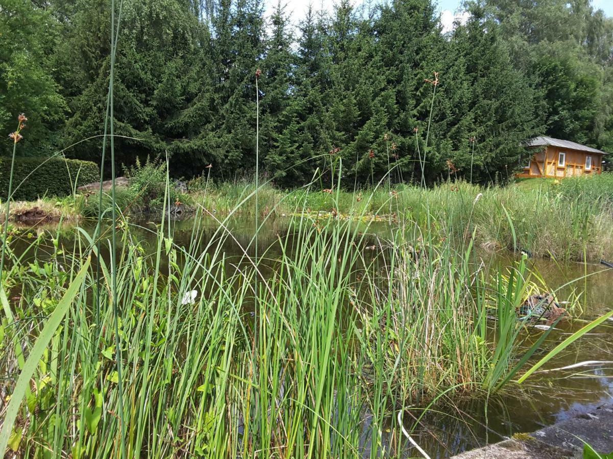 Froschkoenig Mit Teichblick *