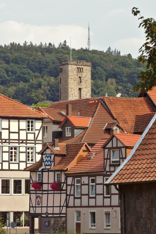 Froschkönig Mit Teichblick * Trendelburg